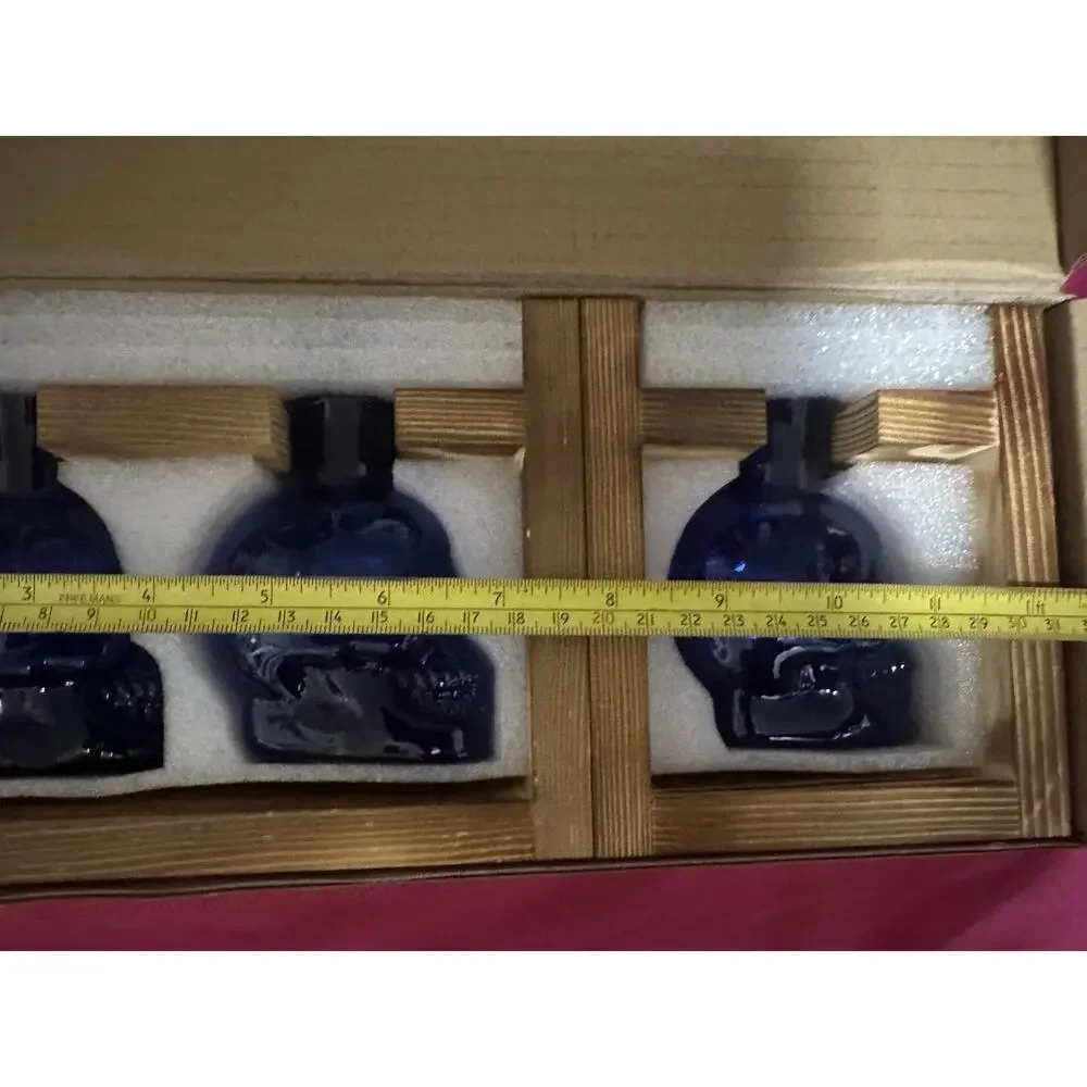 Halloween Skull Plant Terranium Color Blue New With Box 3 Vases 2 Wooden Frame